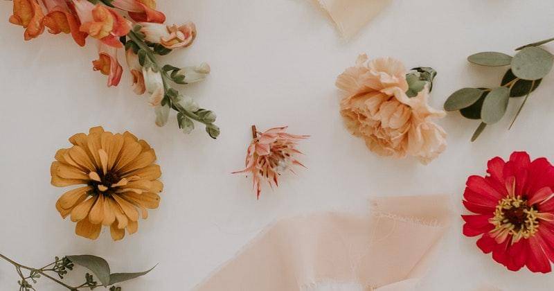 Pexels/Tara Winstead