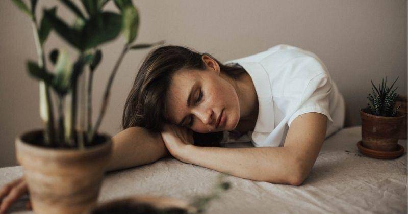 Pexels/Valeria-ushakova-603898