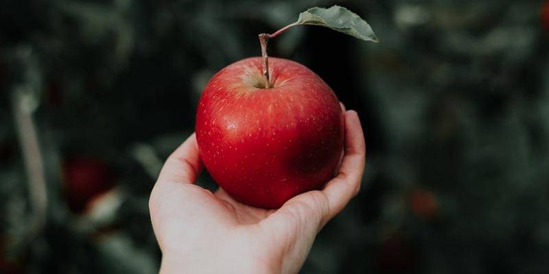 Unsplash/Priscilla Du Preez