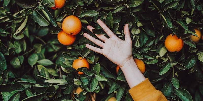 Unsplash/Dominic Swain