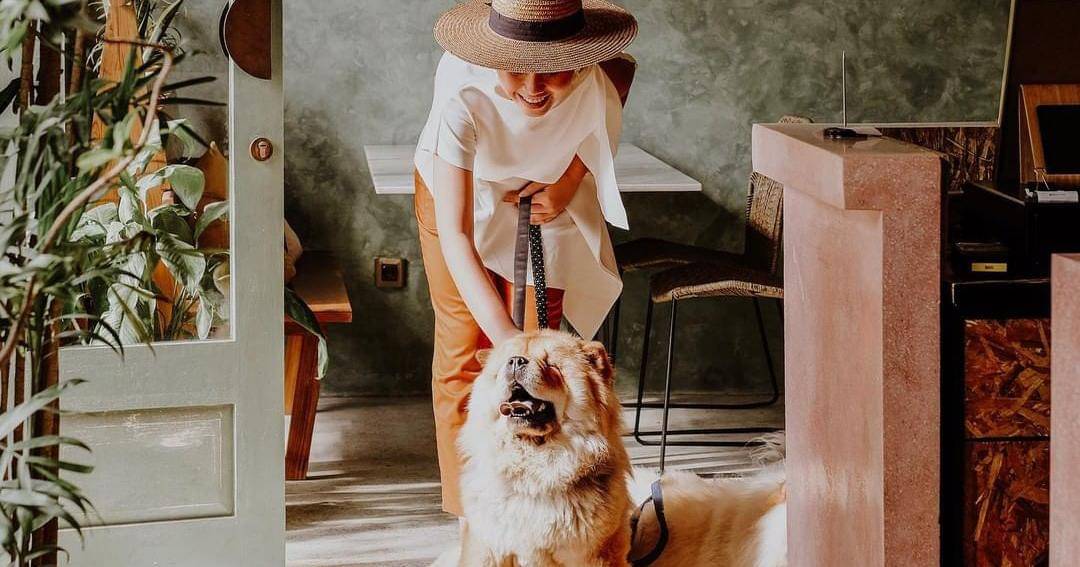 Instagram.com/dearlucybali