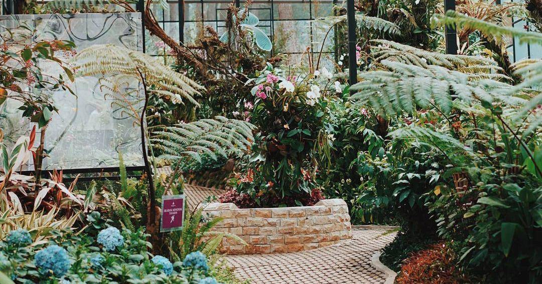 Instagram.com/orchidforestcikole