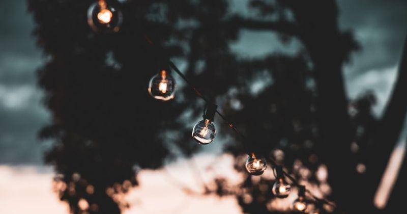 Unsplash/Kristopher_allison