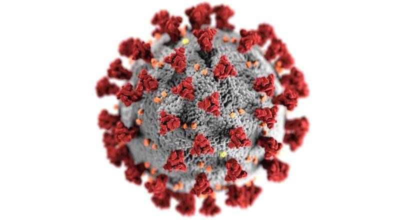 Coronavirus - Pexels/CDC