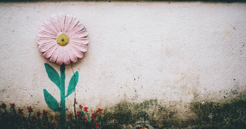 Unsplash/Bruno Nascimento