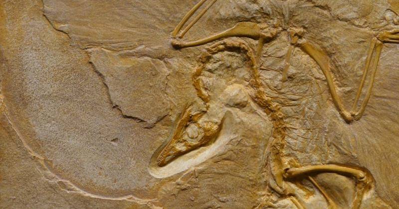 Pexels/ Marcus Lange