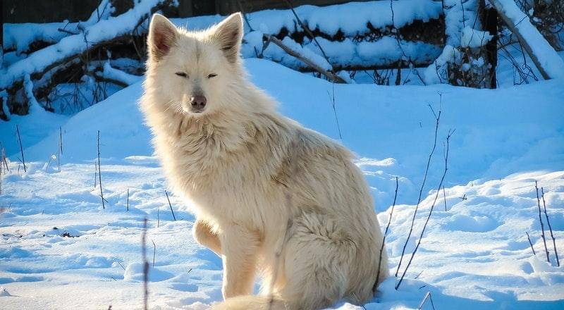 Pexels/Ольга Бочкарева