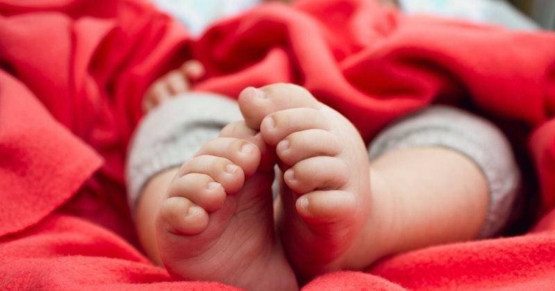 Ilustrasi - Pexels/Designecologist