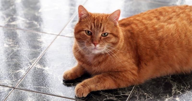 Freepik/Racool_studio