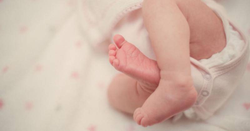 Unsplash/Ignacio Campo