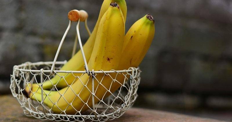 Pixabay/ Congerdesign