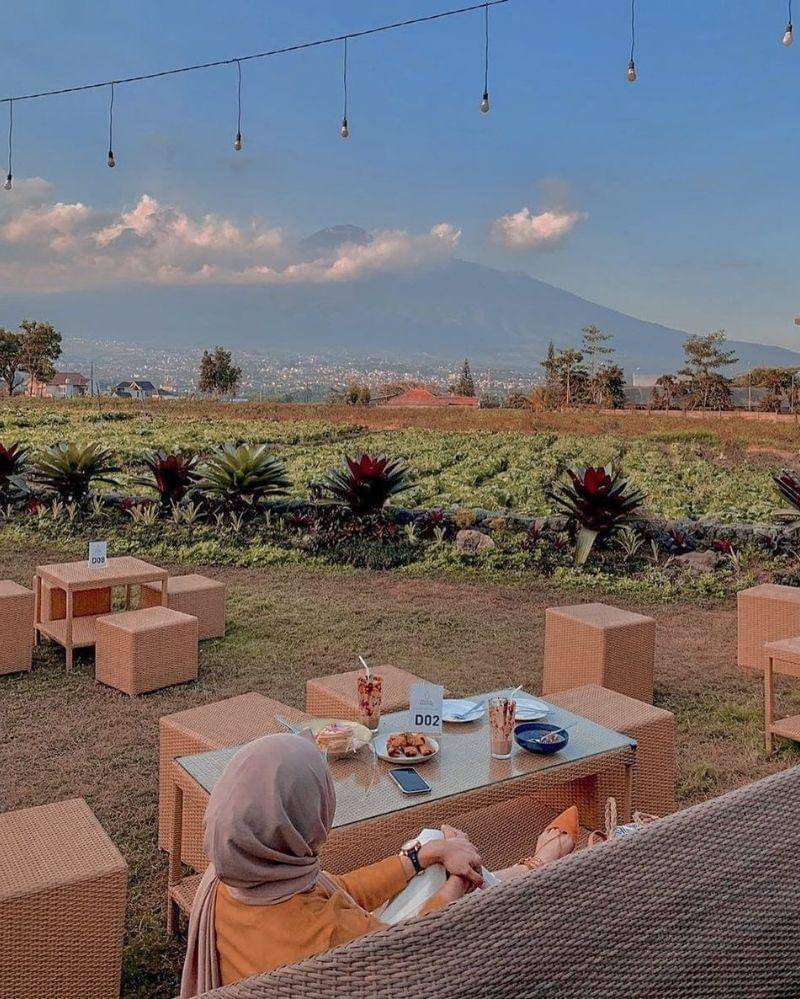 Instagram.com/pupukbawangbatu