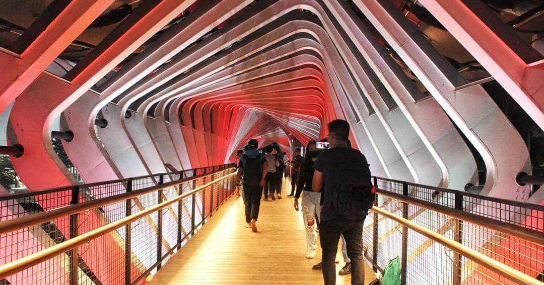 Pinterest.com/xoxo, sнαя