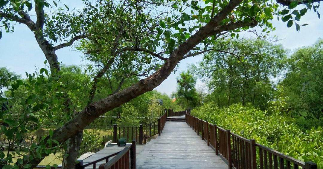 bappeko.surabaya.go.id