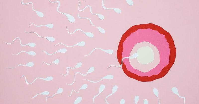 Pexels/Nadezhda Moryak