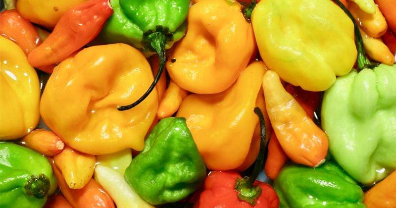 Unsplash/Bekky Bekks