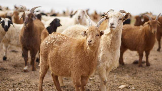 Pexels/arthousestudio