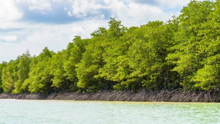 Freepik/lifeforstock