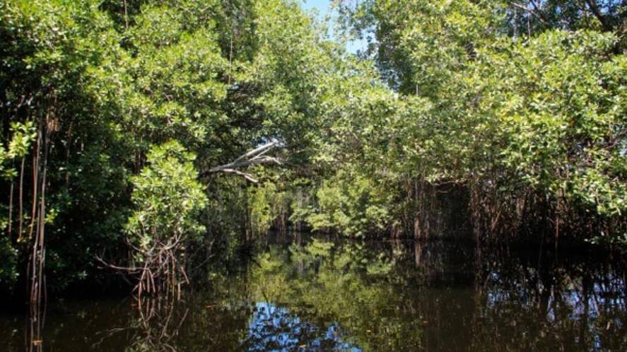 Freepik/mb-photoarts