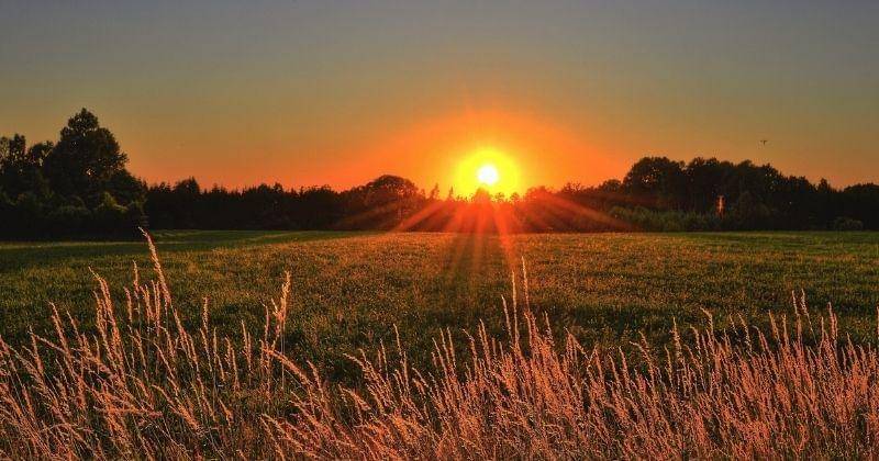 Pexels.com/JonathanPeterson