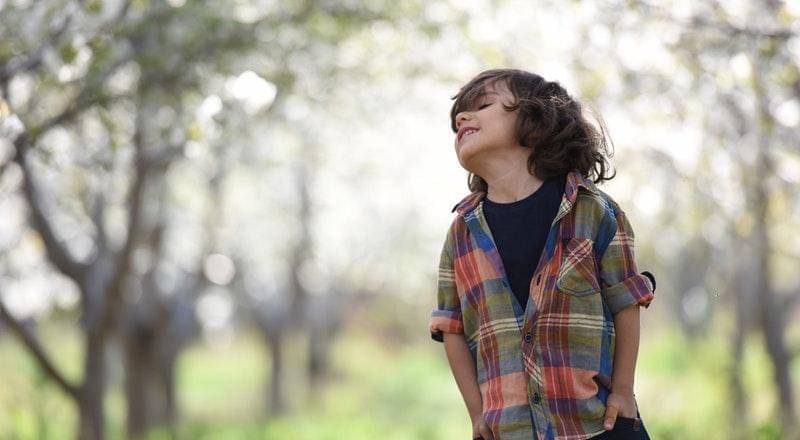 Pexels/Jonas Mohamadi