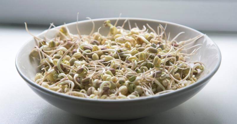 Unsplash/Milada Vigerova