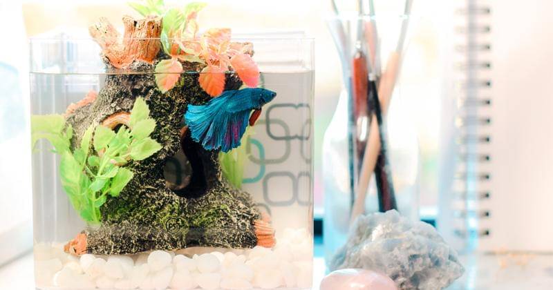 Unsplash/Sarah Brown