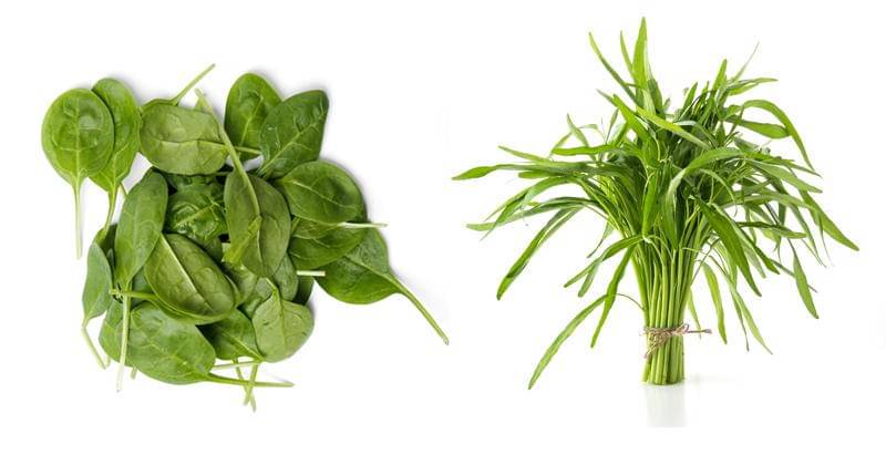 Freepik/Racool_studio | Freepik/topntp26