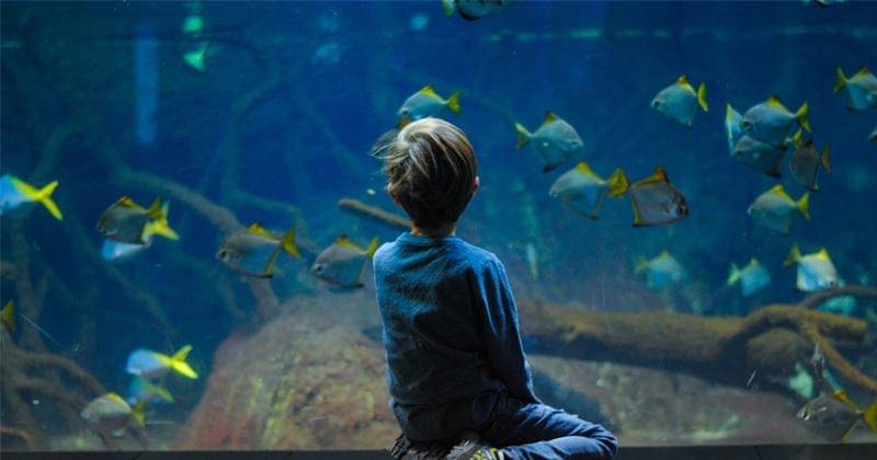 Unsplash/Biljana Martinić