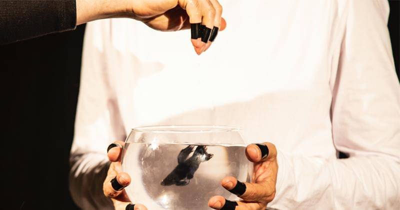 Pexels/Leonardo Santos