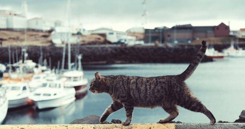 Unsplash/Timothymeinberg