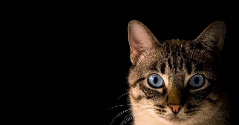 Unsplash/Pactovisual