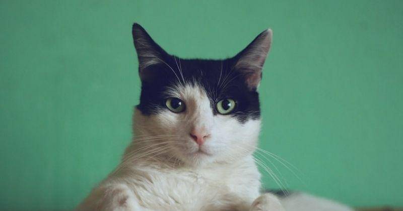 Unsplash/Madhatterzone