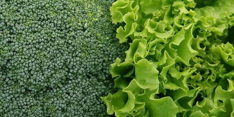 Pixabay/Shutterbug75