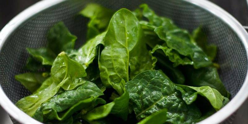 Unsplash/chiara conti