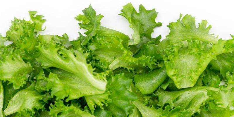 Unsplash/Petr Magera