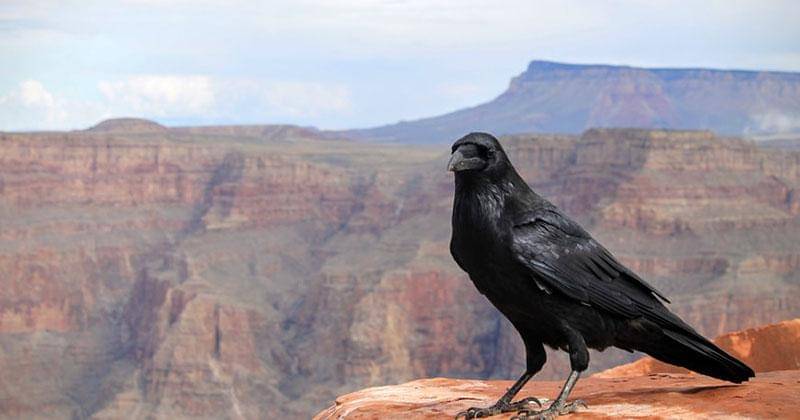 Unsplash/Matteo Paganelli