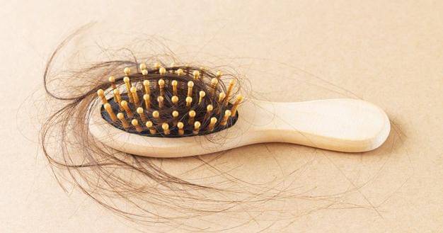 Freepik/user20678629