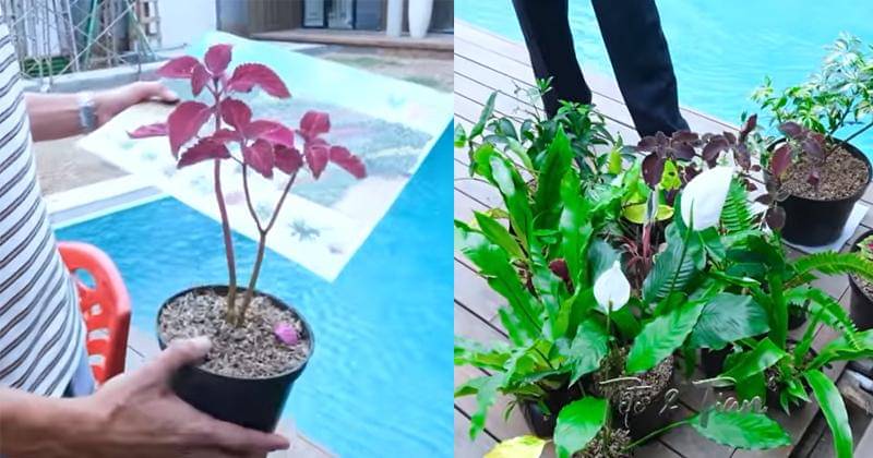 Youtube.com/Titi dan Tian