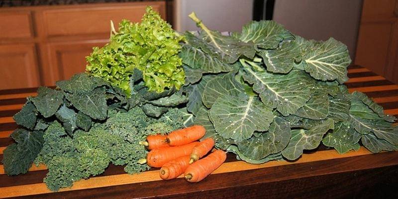 Pixabay/BarbaraJackson 