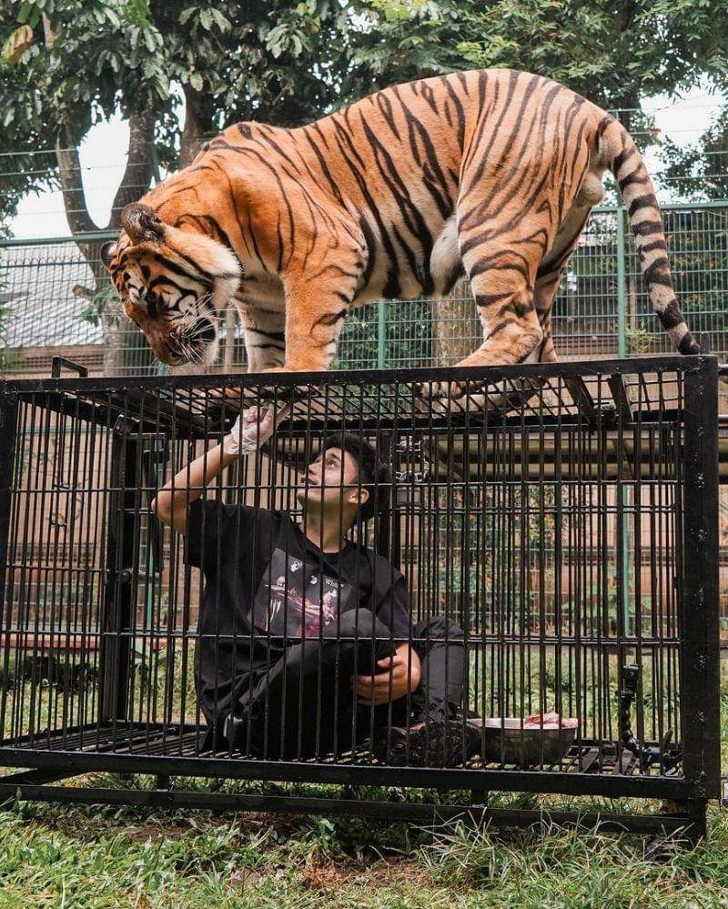 Instagram.com/alshadahmad