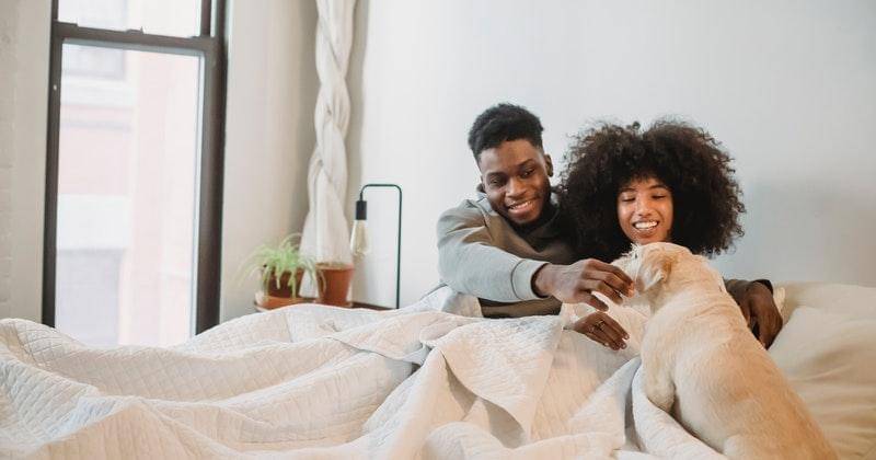 Pexels/Andres Ayrton