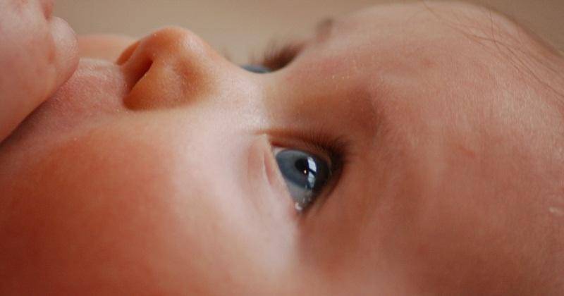 Pexels/ Rasmus Svinding