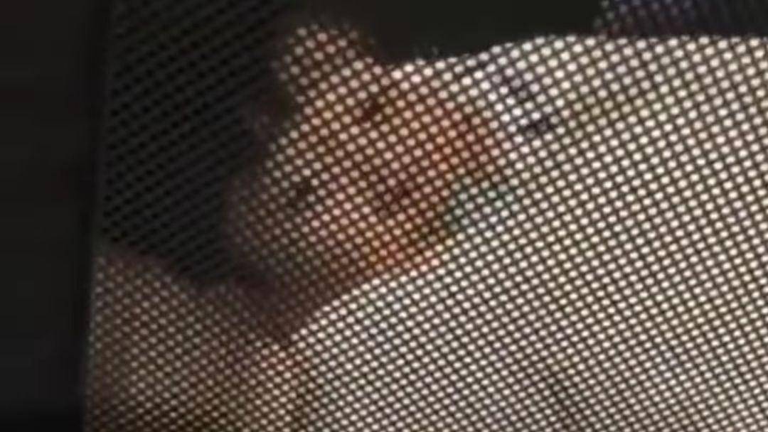 Instagram.com/Raffinagita1717