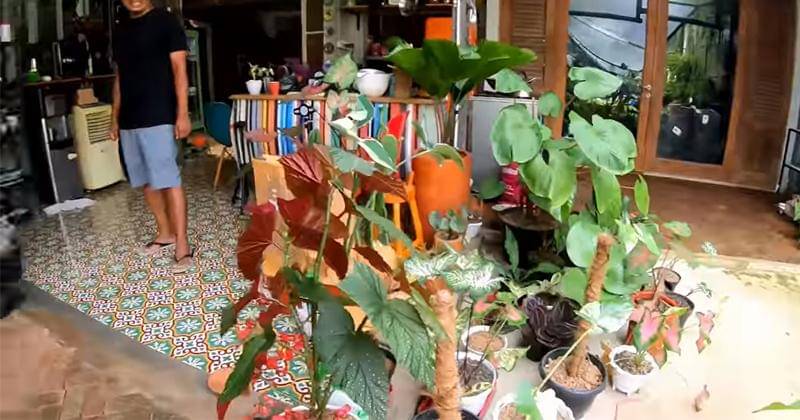 Youtube.com/Deeway Gembel