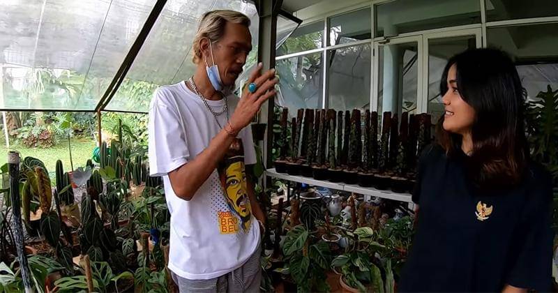 Youtube.com/Deeway Gembel