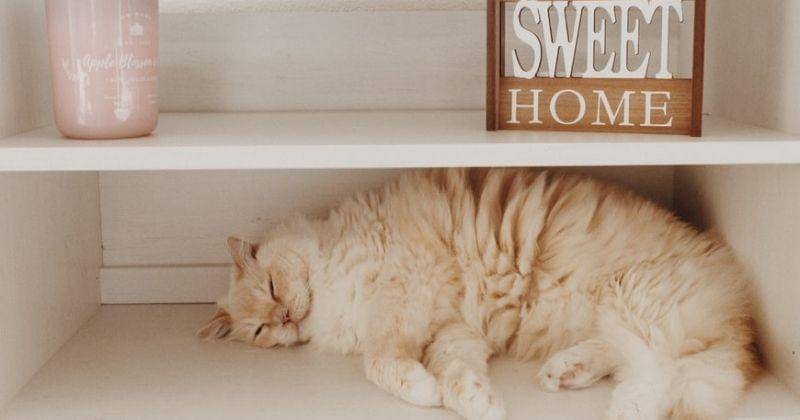 Unsplash/Joyfulcaptures