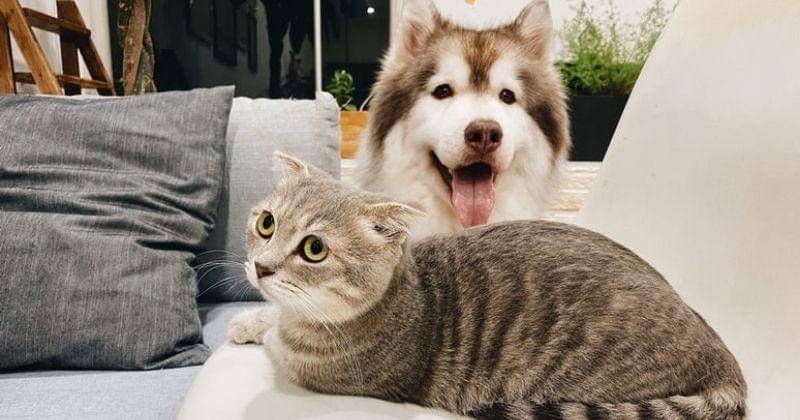 Unsplash/Tranmautritam