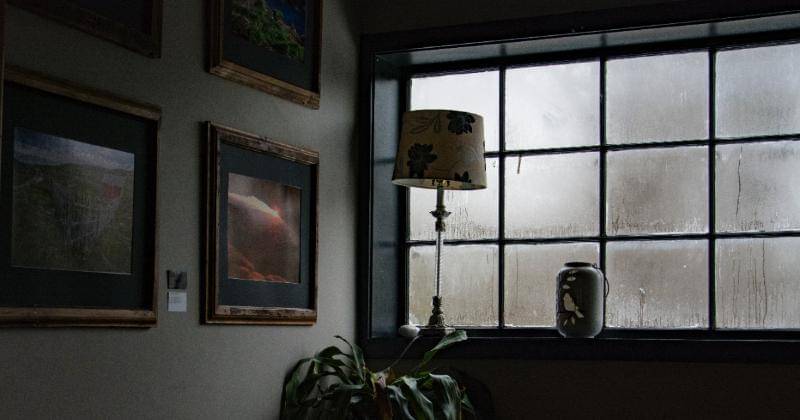 Pexels/Golnar sabzpoush rashidi