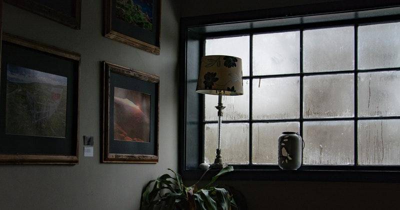 Pexels/Golnar sabzpoush rashidi